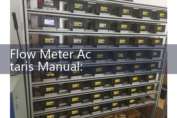 Flow Meter Actaris Manual: Gas and Liquid Positive Displacement Measurement Maintenance